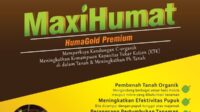 asam humat dicampur dolomit