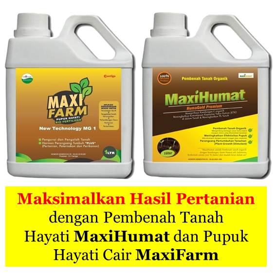 Pupuk Hayati Cair Terbaik di Indonesia - Maxfarm & Maxihumat