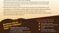 tanaman yang mengandung asam humat
